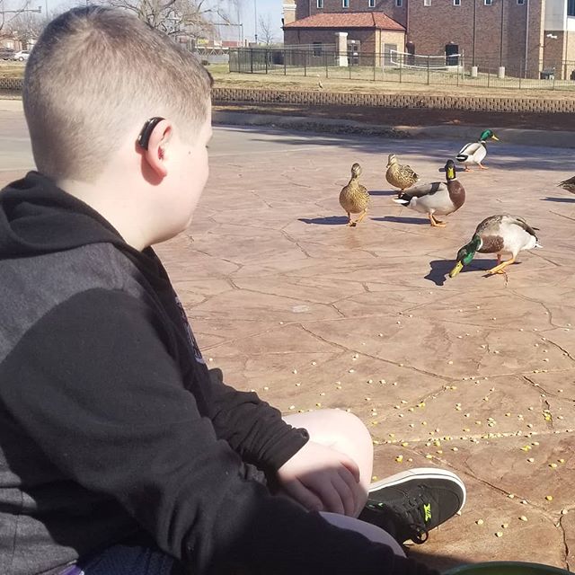 Feeding the ducks with Hero yesterday